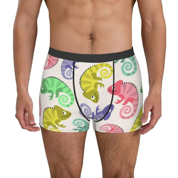 Honeii Colorful Pattern With Cute Chameleons Men's Underwear Boxer Briefs Pack, ComfortSoft Boxer Brief for Men, Moisture-Wicking Breathable-XX-Large