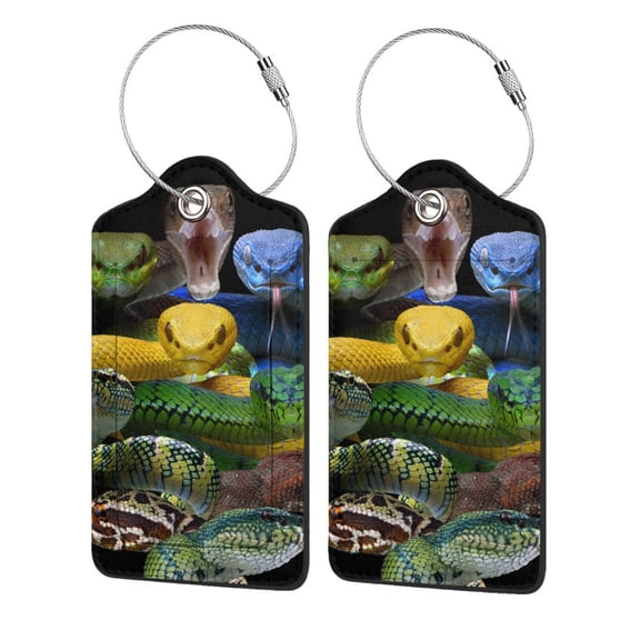 Honeii Colorful Viper Snake Print Leather Luggage Tag for Suitcases,ID Tags,Bag Tags for Luggage,Functional Travel Tag-2 PCS