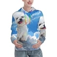 thumbnail image 1 of Honeii Cute Cloud Bichon Frise Pattern Womens Oversized Hoodies Long Sleeve Sweatshirts Pullover Fall Outfits with Pocket-Small, 1 of 7