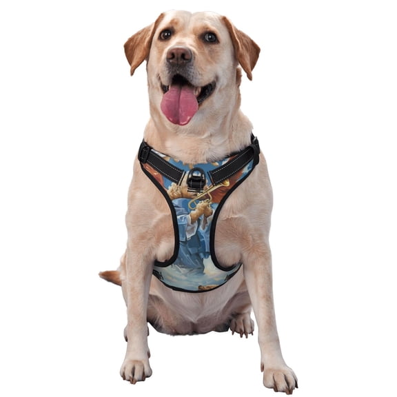 Honeii Dog Angel Ascension Dog Harness,A Three-Buckle Adjustable Dog Vest, Medium-Sized Dogs-Large