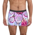 thumbnail image 1 of Honeii Dragon Fruit Print Mens Boxer Briefs Breathable,Boxer Brief for Men, Moisture-Wicking Underwear-Large, 1 of 5