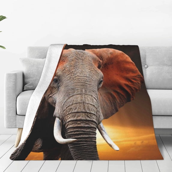 Honeii Elephant Sunset in Kenya Print Fleece Blanket - Throw Blanket for Bed, Sofa, Couch, Camping, and Travel , Microplush Ultra Soft Warm Blanket-60"x50"