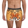 thumbnail image 1 of Honeii Fall Farmhouse Pumpkins1 Print Mens Boxer Briefs Breathable,Boxer Brief for Men, Moisture-Wicking Underwear-X-Large, 1 of 5
