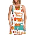 thumbnail image 1 of Honeii Fall Pumpkins Print Women's Sleeveless Dress, Loose Fit Casual Dress for Women, Summer Fashion Dress, 1 of 7