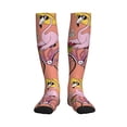 thumbnail image 1 of Honeii Flamingo Riding a Bicycle Print Sports Compression Socks,Running Crew Socks,Moisture-Wicking Anti-Blister Hiking&Gym Athletic, 1 of 5