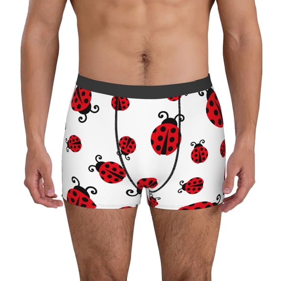 Honeii Fly Flying Ladybug Print Mens Boxer Briefs Breathable,Boxer Brief for Men, Moisture-Wicking Underwear-
