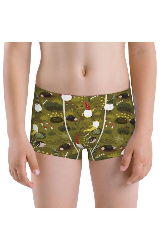 Gnomes Playing in the Garden for boys And Toddler Underwear, Comfort Cotton and Boxer Briefs,Boy's Boxer Briefs-Small