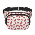 thumbnail image 1 of Honeii Hand Drawn Watermelon Print Square Double Layer Waist Bag,Waist Belt Bag Fashion Fanny Women and Men,For Travel Running Hiking Walking, 1 of 9
