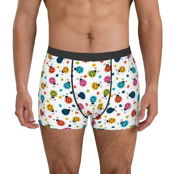 Honeii Ladybugs And Flowers Print Mens Boxer Briefs Breathable,Boxer Brief for Men, Moisture-Wicking Underwear-Small
