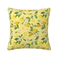 thumbnail image 1 of Honeii Lemon (2) Print Throw Pillow, Square Decorative Pillow Forms Soft Fluffy Plump Pillow Decorative Pillow Inserts,Couch Pillows-24"x24", 1 of 7