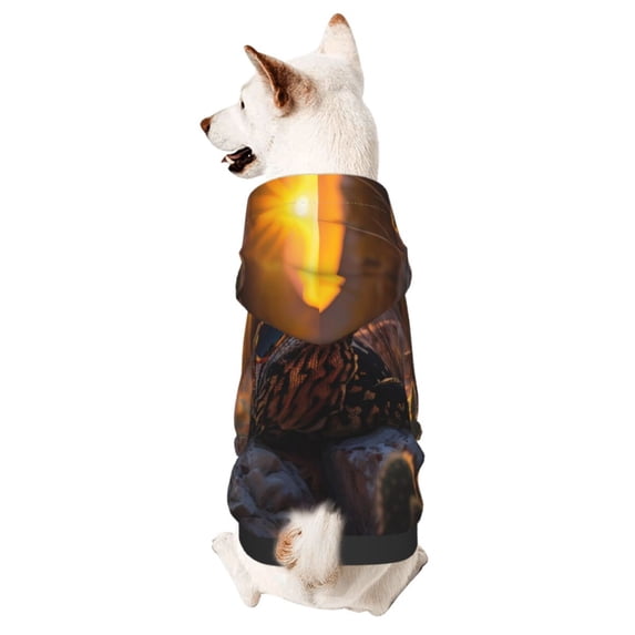 Honeii Lizard With Sunglasses Sunset Print Small Dog Hoodies Pet Hooded Sweatshirts Fall Winter Puppy Cat Sweaters Warm Clothes for Small Dogs Outfits Costume-Small