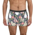 thumbnail image 1 of Honeii Llamas Men's Underwear Boxer Briefs Pack, ComfortSoft Boxer Brief for Men, Moisture-Wicking Breathable-Small, 1 of 5