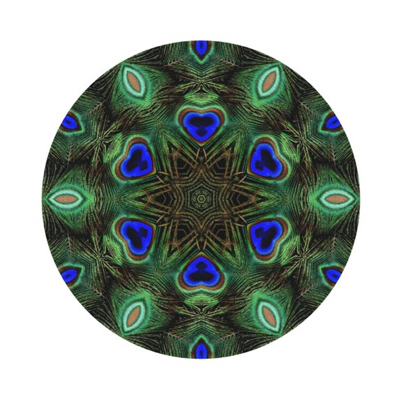 Honeii Peacock Feathers Print Leather Coaster Set of 6, Ideal for Safeguarding Your Furniture from Drinks Spills and Effortless Cleanup,Round Shape