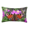 thumbnail image 1 of Honeii Peacock butterfly Pattern Decorative Throw Pillow Case - Elevate Your Couch, Sofa, or Bed with Stylish Home Decor(No pillow core)-16"x24", 1 of 6