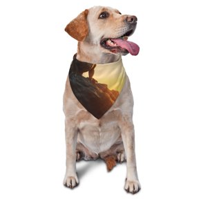 Honeii Seaside Sunset Cool Dragon print Pet Bandanaa stylish triangle accessory perfect for small to large dogs, puppies, and even cats