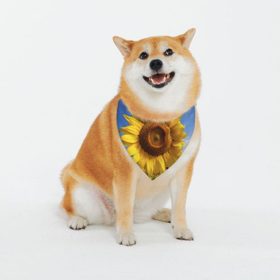 Honeii Sky Golden Sunflower Field A Pattern Pet Scarf for Small Dogs and Cats,Washable Triangle Dog Scarfs with Adjustable Buckle,Dog Bandana-XX-Large