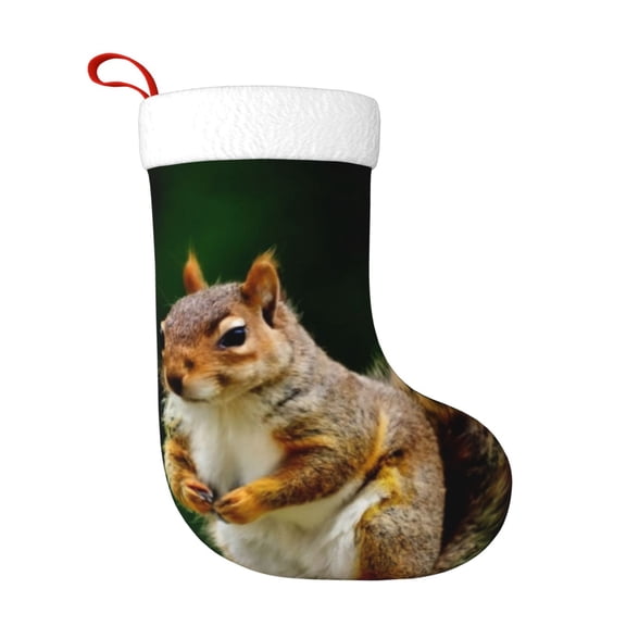 Honeii Squirrels Eating Peanuts On The Tree for Christmas Stocking,Large Xmas Stocking,Holiday and Family Stocking for Fireplace Christmas Holiday Party Decoration