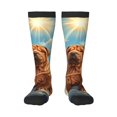 thumbnail image 1 of Honeii Sunshine Cloud Bulldog Print Long Socks,Novelty Design Socks Gift for Men and Women,Crew Socks,Calf Socks, 1 of 6