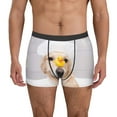 thumbnail image 1 of Honeii The Dog Is Sitting In A Bubble Bath Print Mens Boxer Briefs Breathable,Boxer Brief for Men, Moisture-Wicking Underwear-Small, 1 of 5