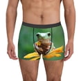 thumbnail image 1 of Honeii Tree Frog Sitting On Sunflowes Print Mens Boxer Briefs Breathable,Boxer Brief for Men, Moisture-Wicking Underwear-Large, 1 of 5