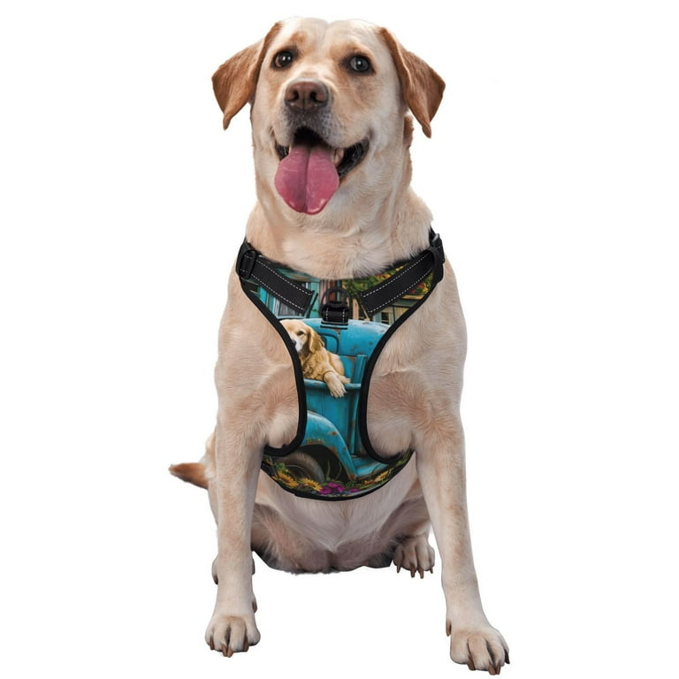 Honeii Vintage Pickup Sunflower Dog for Dog Harness a three buckle adjustable vest featuring an instant control handle and reflective design for easy medium sized dogs Medium Walmart