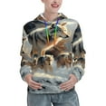 thumbnail image 1 of Honeii Wolf Family Winter Wonderland Pattern Womens Oversized Hoodies Long Sleeve Sweatshirts Pullover Fall Outfits with Pocket-, 1 of 7