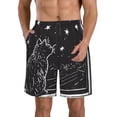 thumbnail image 1 of Honeii's Star Gazing Cat Illustration Print Men's Casual Shorts with Drawstring，Swim Trunks Quick Dry Beach Shorts, 1 of 5