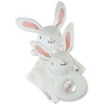 thumbnail image 1 of Honest Baby Clothing Organic Cotton Boy/Girl 2-Piece Lovey and Rattle Gift Set, Bunny, 1 of 7