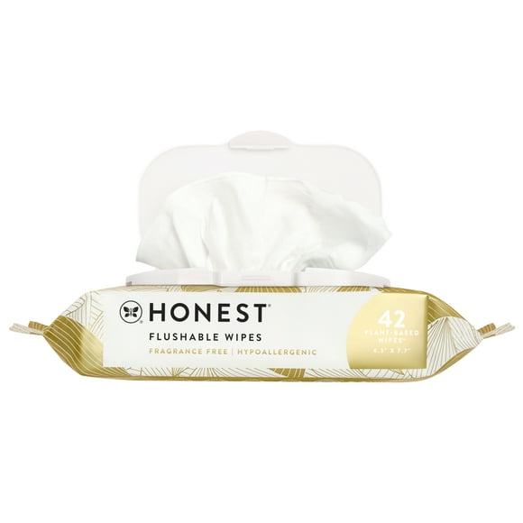The Honest Company Flushable Wipes, 42 Count, Gilded Wings