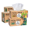 thumbnail image 1 of Honest Home 2 Ply Facial Tissue Paper Box | 800 Pulls | 200 Pulls x 4 boxes | Soft And Highly Absorbent | 100% Natural Virgin Fibre, 1 of 6