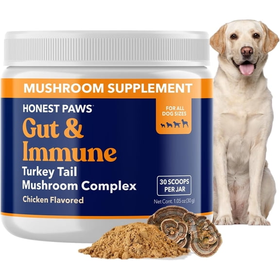 Honest Paws Dog Digestive and Immunity Supplement, Mushroom Extract Formula for Dogs, Turkey Tail Flavor, 1.05 oz