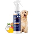 thumbnail image 1 of Honest Paws Dog Dry Shampoo, Waterless Shampoo, 8 oz Coconut & Mango, 1 of 9