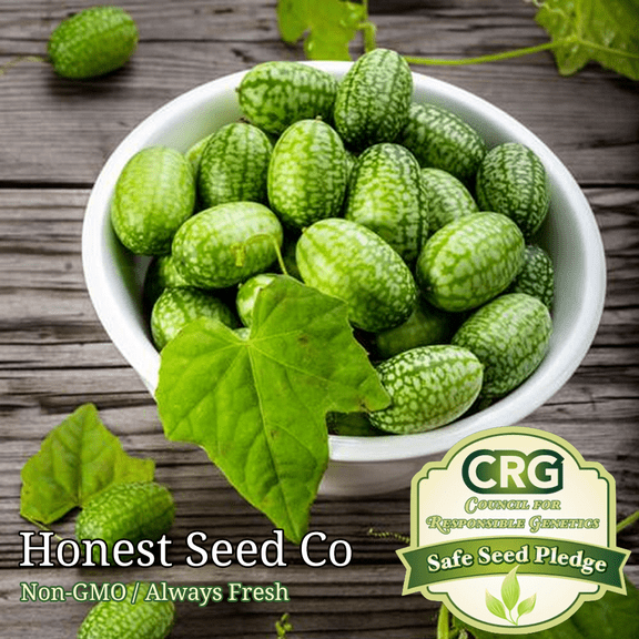 Honest Seed Mexican Gherkin Cucamelon Heirloom Seeds, Non-GMO