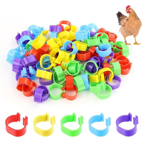 HonestMatter Chicken Leg Bands, 100 Pack 16mm Plastic Clip-On Poultry Identification Rings, 5 Colors Duck Tags for Hens Ducks and Chickens