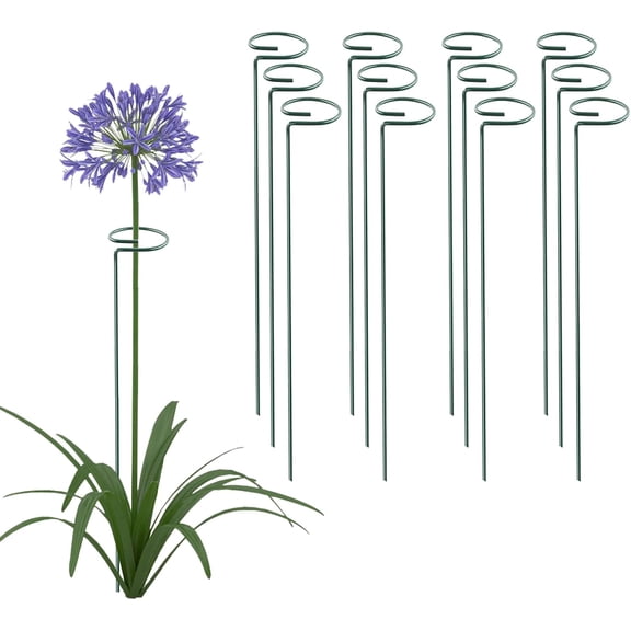 HonestMatter Plant Stakes for Outdoor Plants, 11.8 Inch Green Coated Steel Garden Support with Loop, Single Stem Cage for Orchid Peony Lily Rose, Indoor Outdoor Hoops, 1 Pack