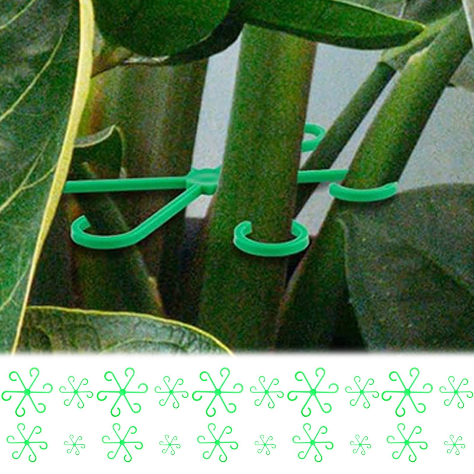 HonestMatter Plant Supports for Indoor Plants, Plant Support Clips, Plant Stake, Green 5 Pack Stem Holders,