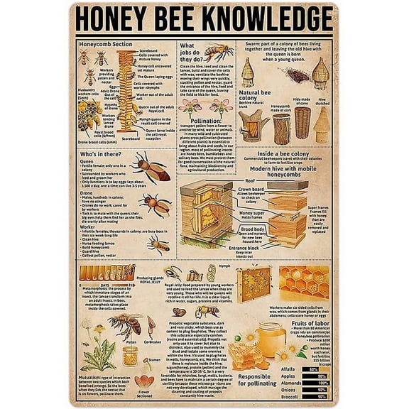 Honey Bee Anatomy Knowledge Metal Tin Sign Honey Bee Retro Poster Wall Art Deco Farm Home Kitchen Club Plaque 8x12 Inches