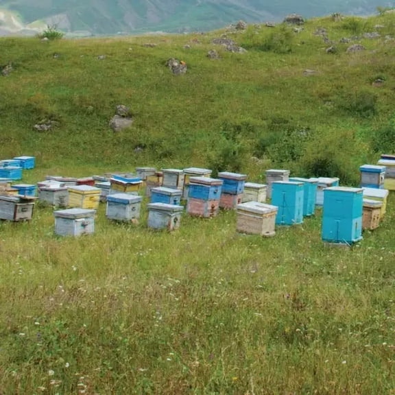 Nature's Seed Honey Bee Cover Crop & Pasture Mix - 5 Lb