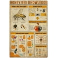 thumbnail image 1 of Honey Bee Knowledge Metal Tin Sign Anatomy How Bees Make Honey Retro Poster Wall Art Deco Farm Home Kitchen Club Plaque 8x12 Inches, 1 of 5
