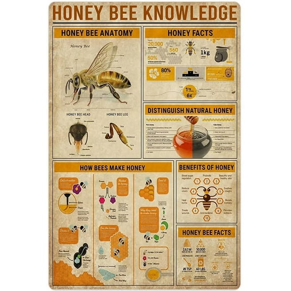 Honey Bee Knowledge Metal Tin Sign Anatomy How Bees Make Honey Retro Poster Wall Art Deco Farm Home Kitchen Club Plaque 8x12 Inches