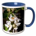 thumbnail image 1 of 3drose, Honey Bee on Apple Blossoms in Idaho - Us13 Dfr0565 - David R. Frazier, 11oz Two-tone Blue Mug, 1 of 6