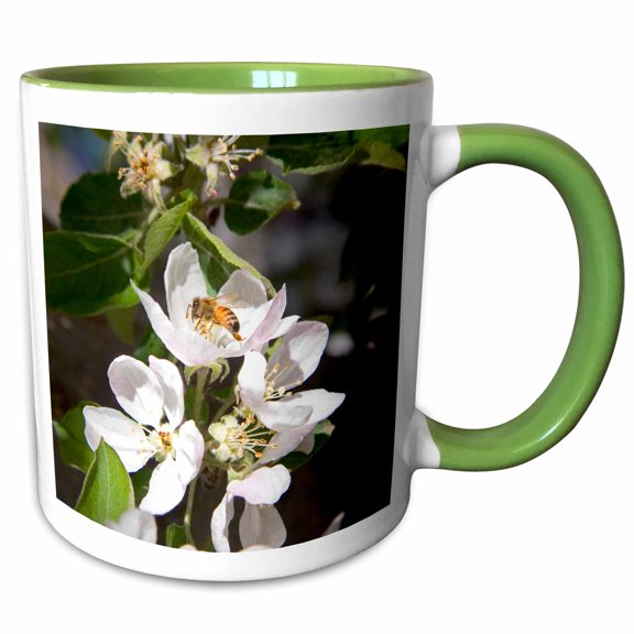 3drose, Honey Bee on Apple Blossoms in Idaho - Us13 Dfr0565 - David R. Frazier, 11oz Two-tone Green Mug
