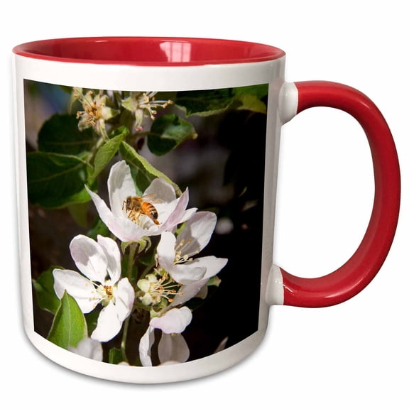 3drose, Honey Bee on Apple Blossoms in Idaho - Us13 Dfr0565 - David R. Frazier, 11oz Two-tone Red Mug