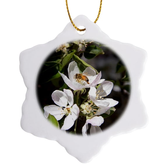 3drose, Honey Bee on Apple Blossoms in Idaho - Us13 Dfr0565 - David R. Frazier, 3 inch Snowflake Porcelain Ornament