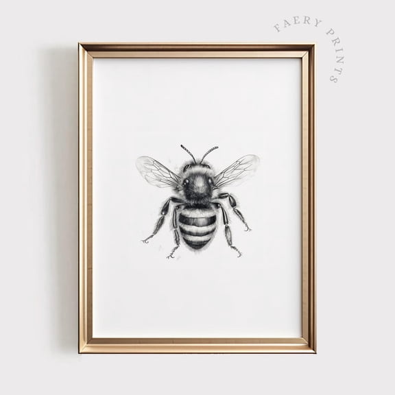Honey Bee Sketch Botanical Illustration poster Wall Art Decor 8x12 UNFRAMED