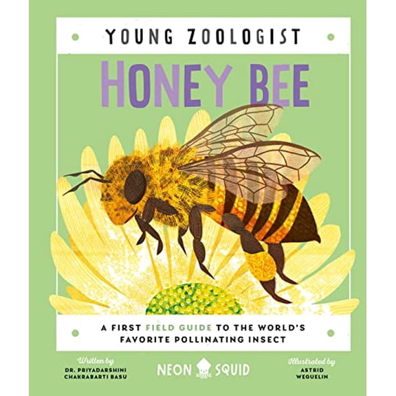 Pre-Owned Honey Bee (Young Zoologist): A First Field Guide to the World's Favorite Pollinating Insect (Hardcover) 1684492823 9781684492824