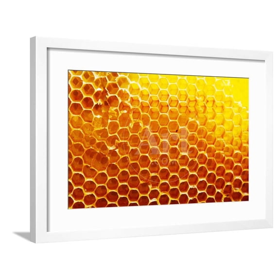 Honey Beehive Framed Print Wall Art by val lawless Sold by Art.Com