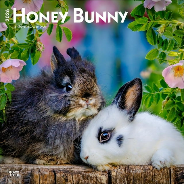 Honey Bunny 2026 12 X 24 Inch (Hanging) Monthly Square Wall Calendar