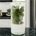 thumbnail image 1 of Honey-Can-Do Glass Herb Preserver Food Storage Jar, Clear/White, 1 of 6