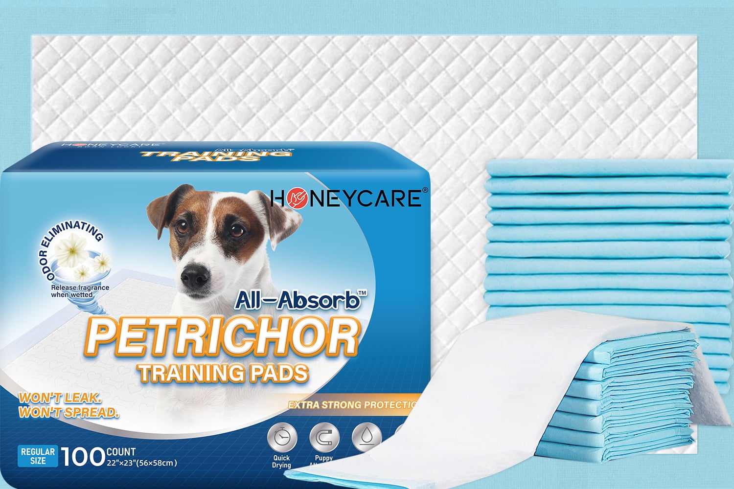 Large Blue Ultra Absorbent Puppy Training Pads, 100 Count
